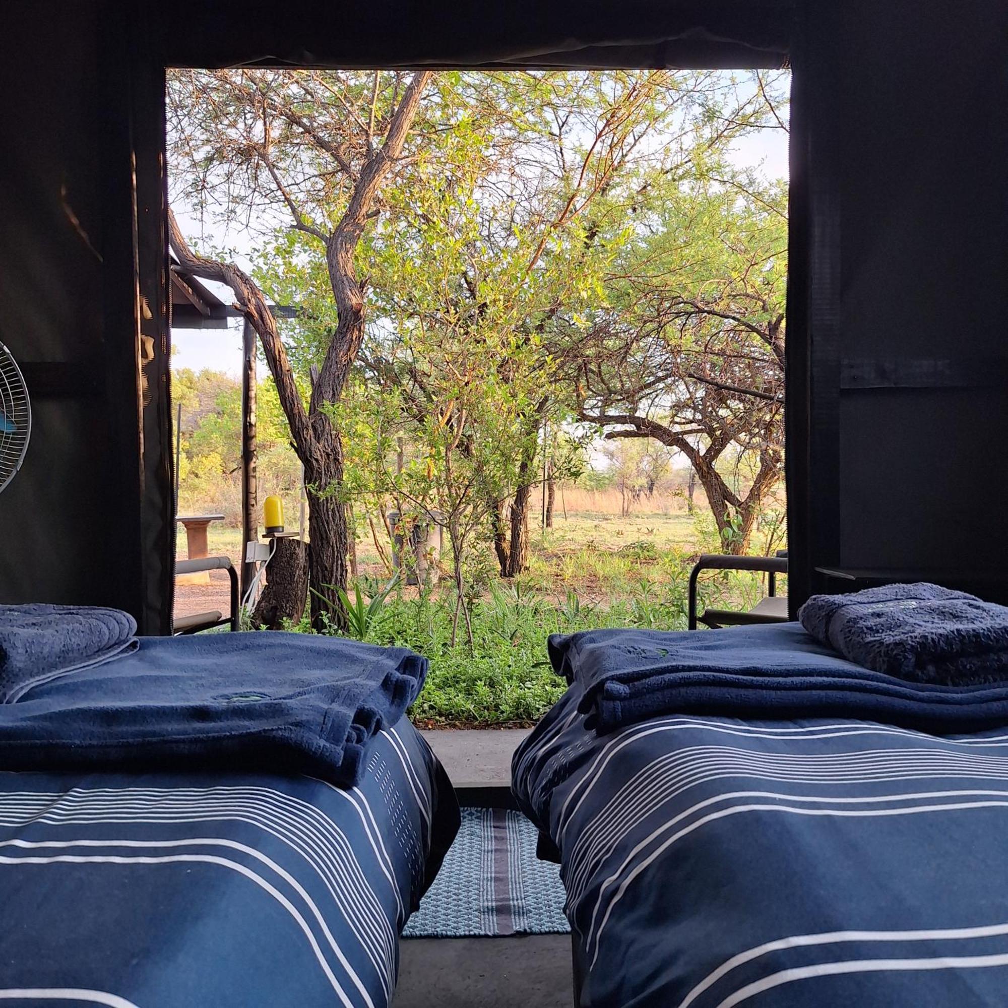Campsite Thorn Tree Bush Camp